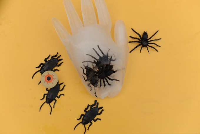 bug filled ice hands for a Halloween science activity
