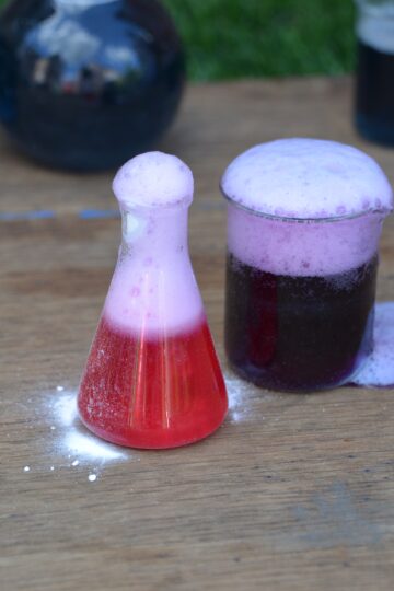 red cabbage indicator fizzy potions