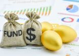 Bags of fund, US USD dollar and golden eggs on a company summary report