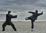 Kung Fu Fighting